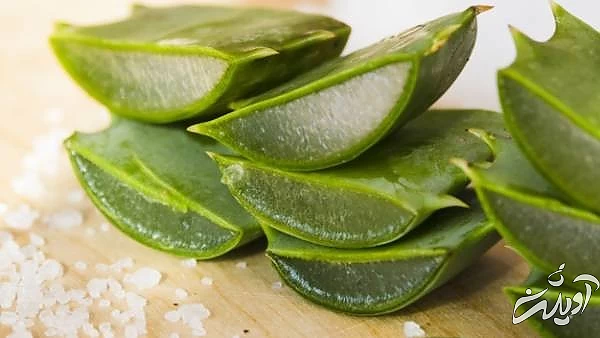 ژل آلوئه ورا